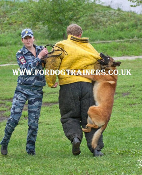 schutzhund dog training